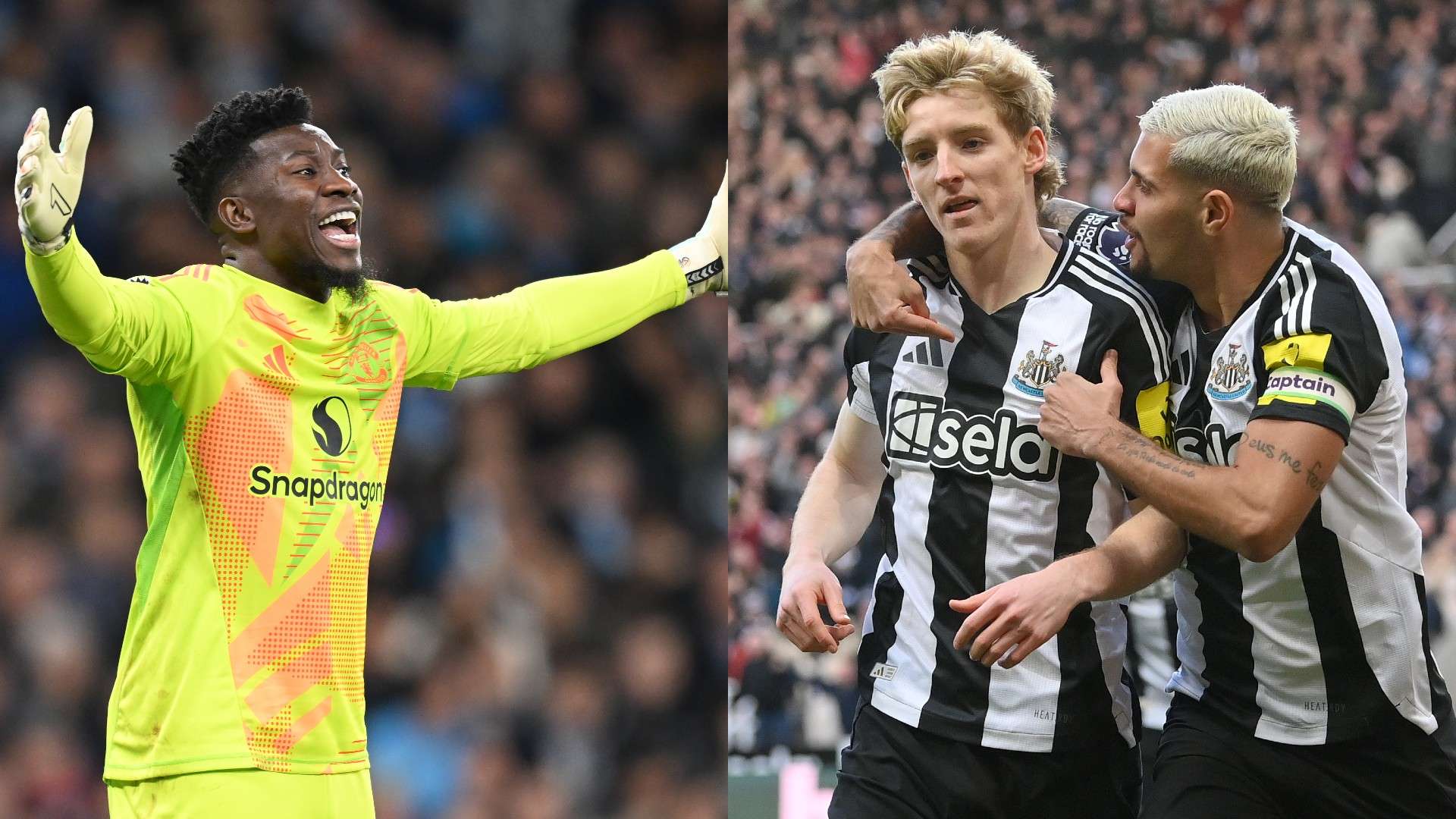 他们不仅是 他们不仅是