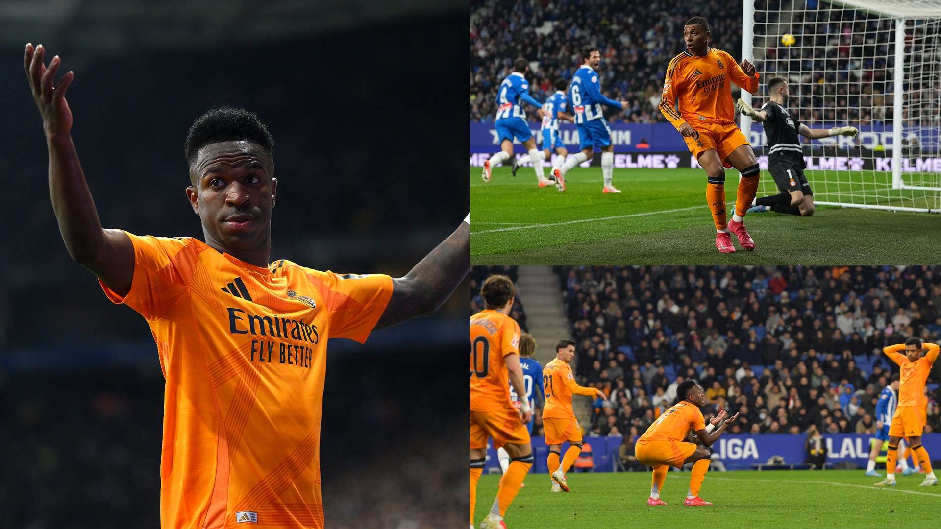 布雷迪成功 布雷迪成功