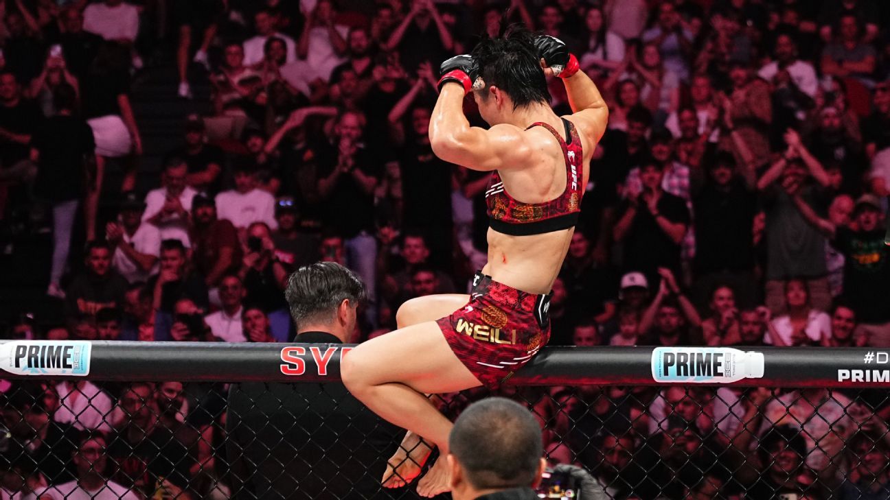 切尔西的比 切尔西的比