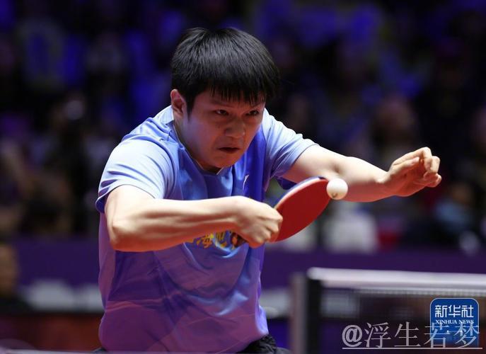 樊振东独揽两分助上海地产险胜山东鲁能3-2